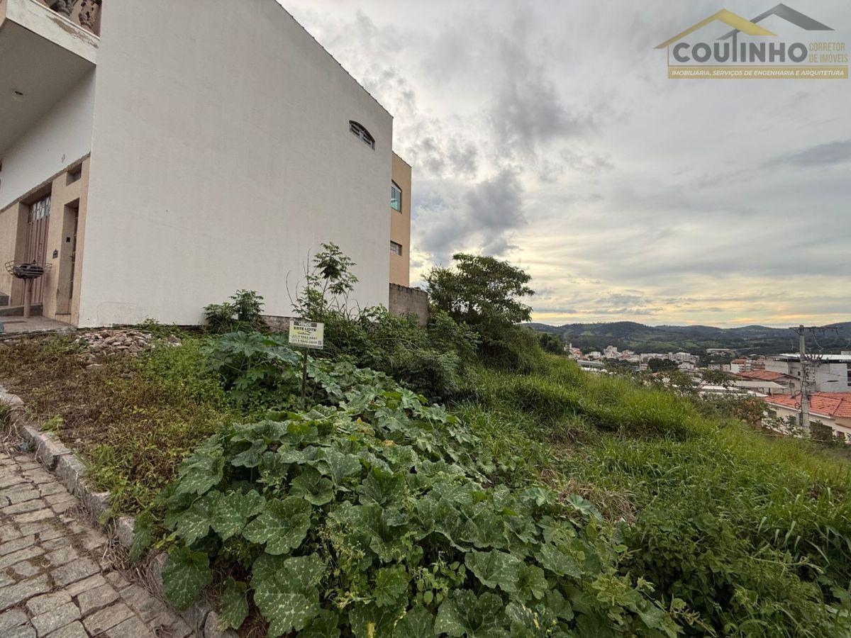 WhatsApp Image 2026-02-08 at 15.48.04.jpeg